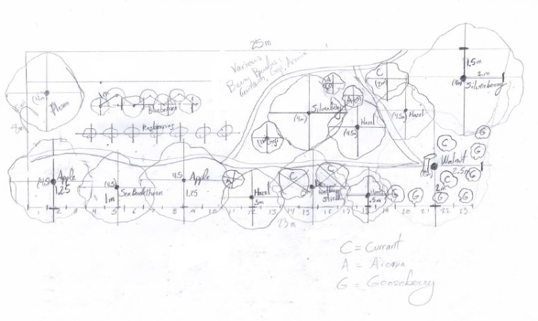 Food Forest Design, Månegartneriet Draft